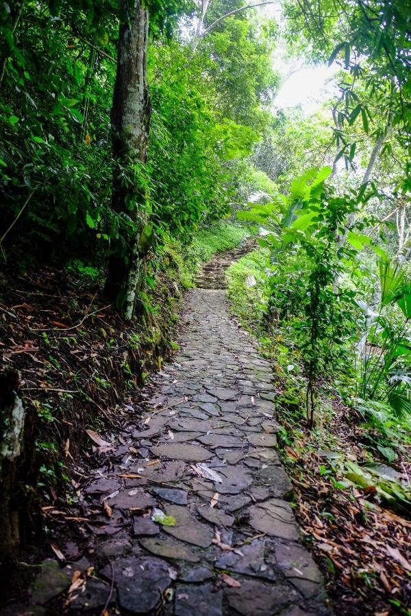 Shimiyacu Amazon Lodge Тарапото Екстериор снимка