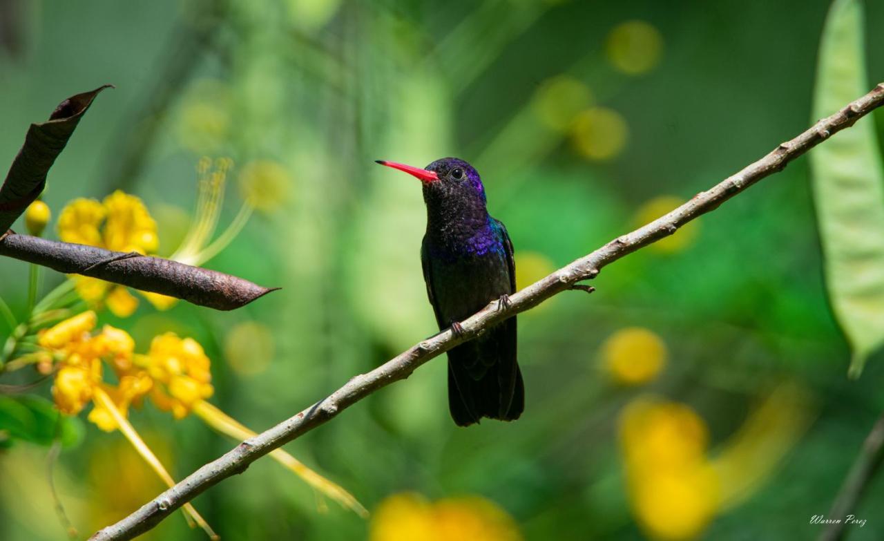 Shimiyacu Amazon Lodge Тарапото Екстериор снимка